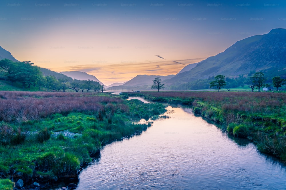 Un río que atraviesa un exuberante campo verde