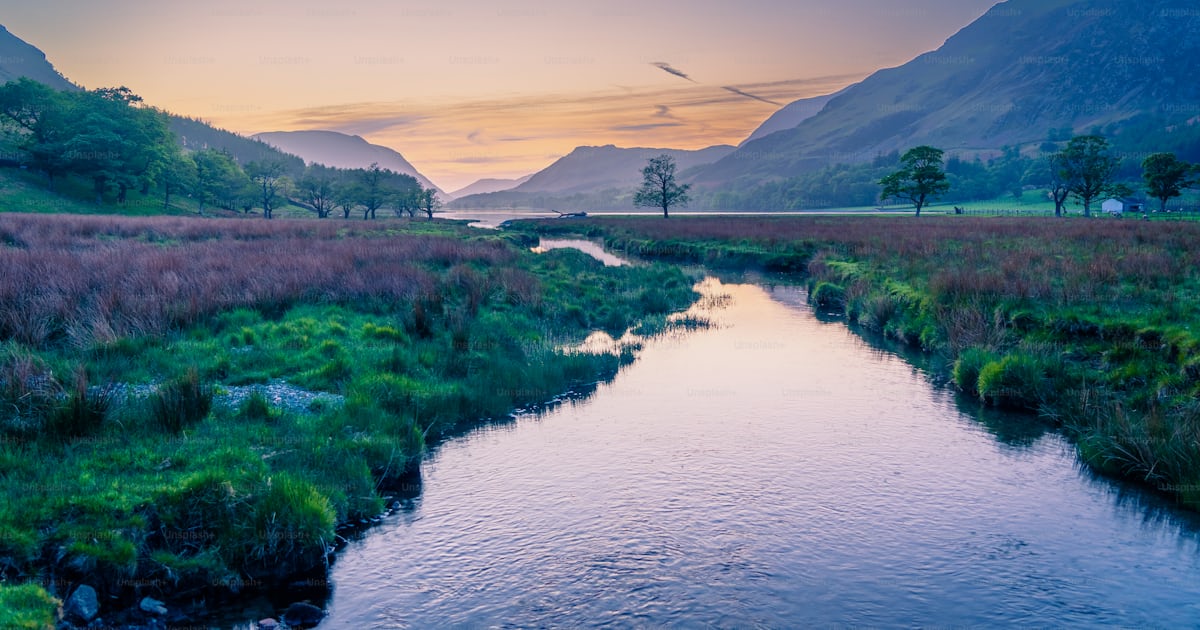 Foto zum Thema Ein Fluss, der durch ein üppiges grünes Feld fließt