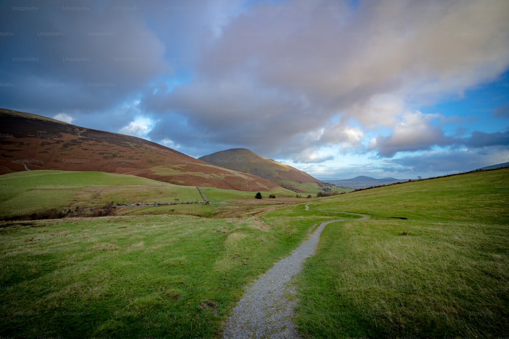a path winds through a grassy field with mountains in the background