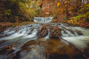 a small waterfall in the middle of a forest