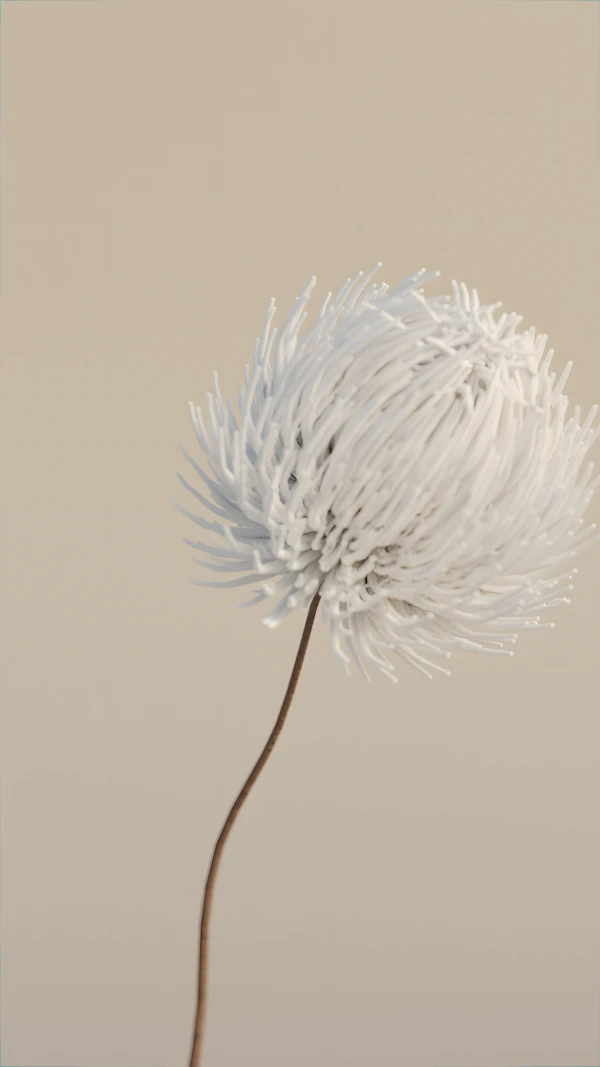 Elegan