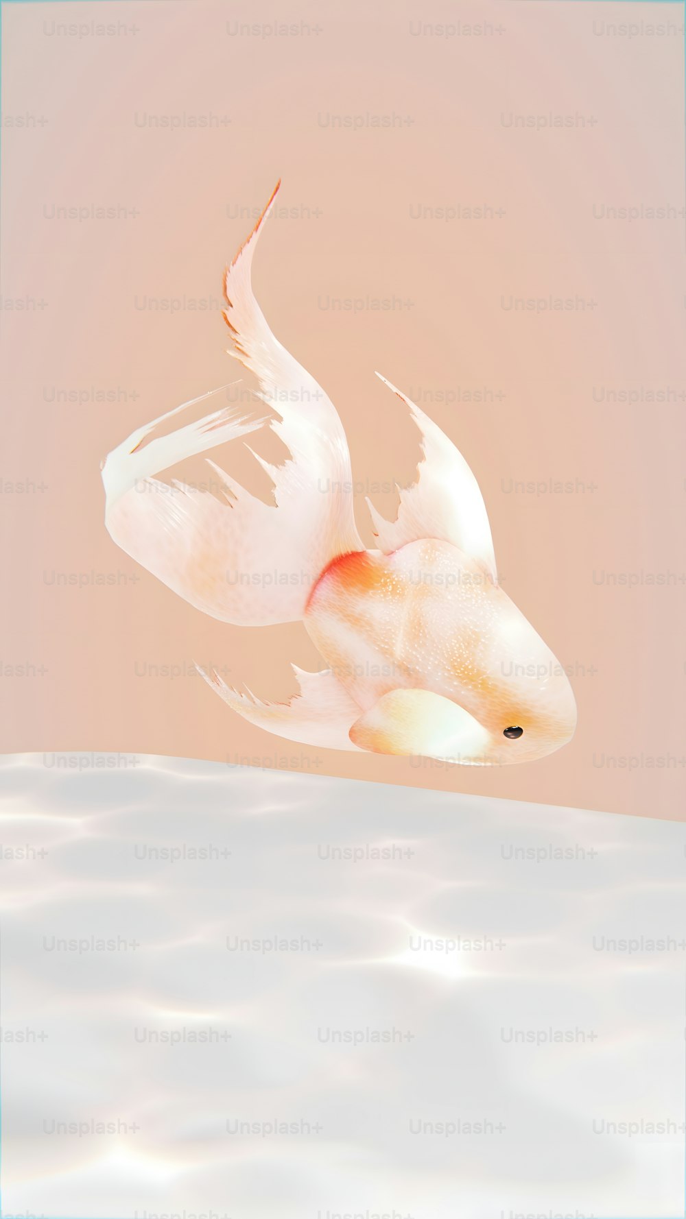 白い羽が水に浮かぶ金魚