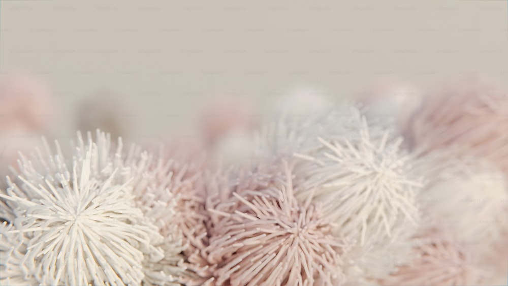 a close up of a bunch of white and pink balls