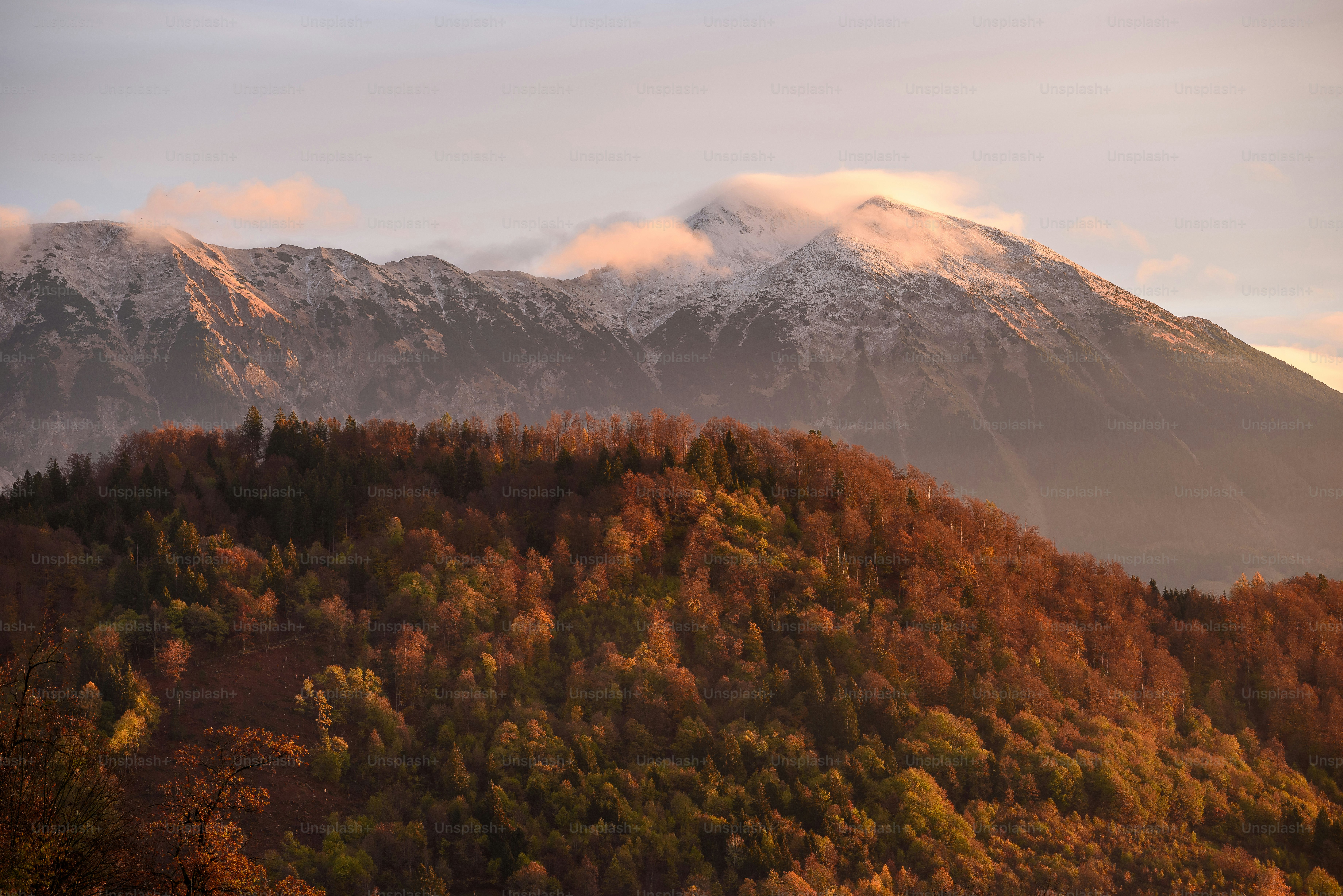 A view of a mountain range with trees in the foreground photo – Nature ...