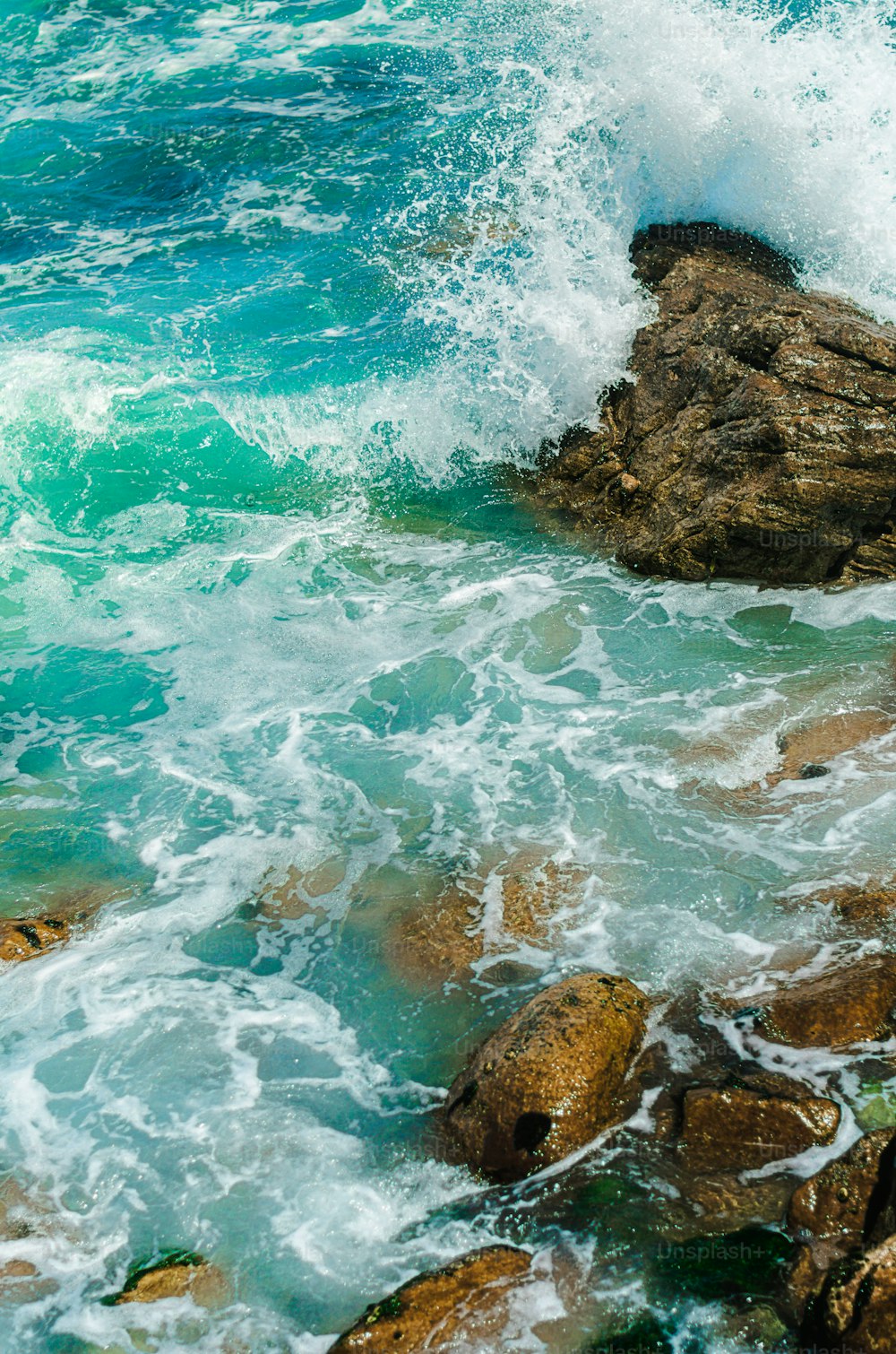 a bird sitting on a rock near the ocean