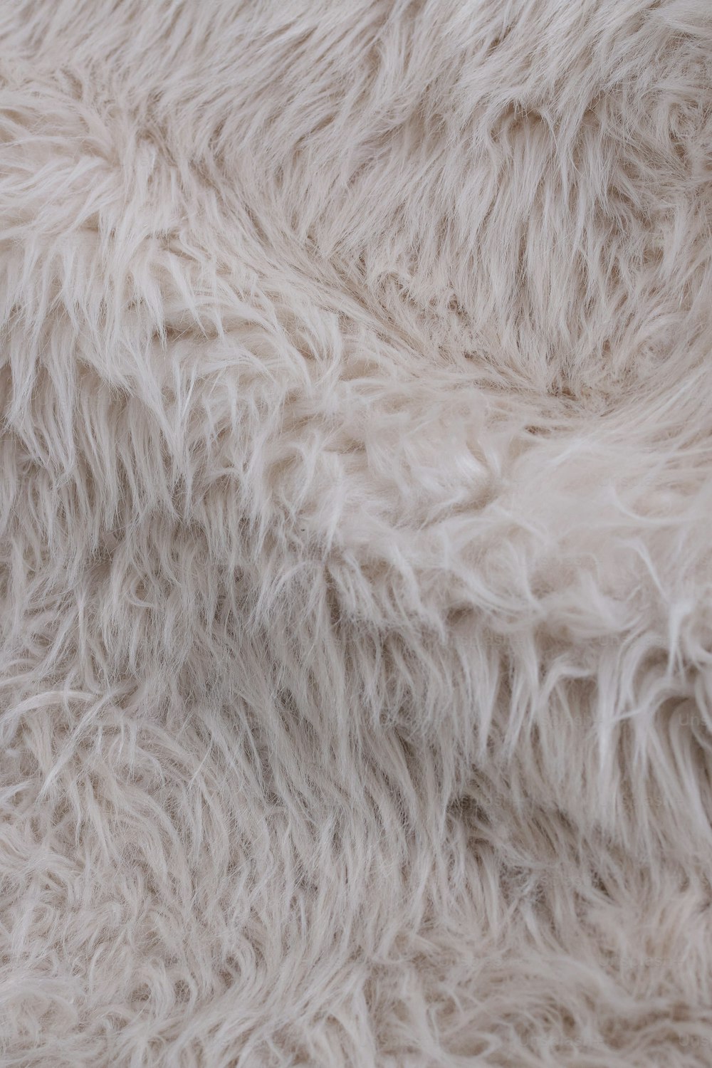 a close up view of a white fur texture