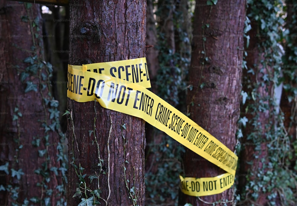 a couple of yellow caution tape wrapped around a tree