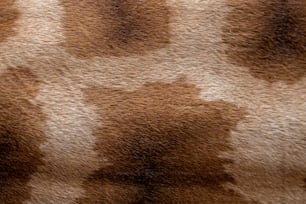 a close up of a brown and white animal print fabric