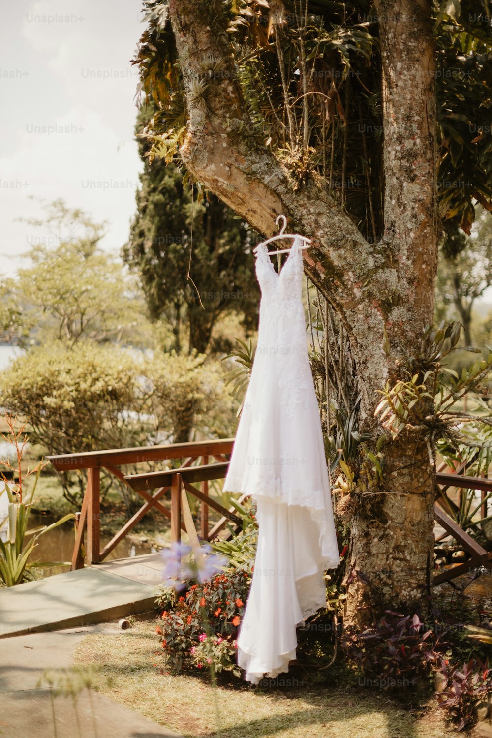 a wedding dress hanging from a tree