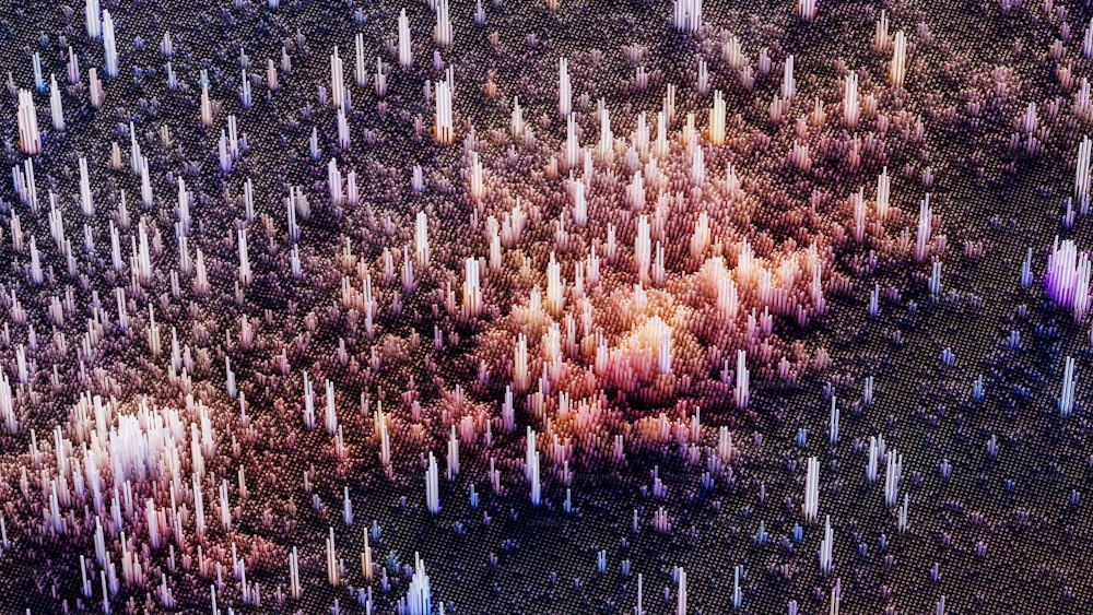 Luftaufnahme eines Feldes mit vielen Bäumen