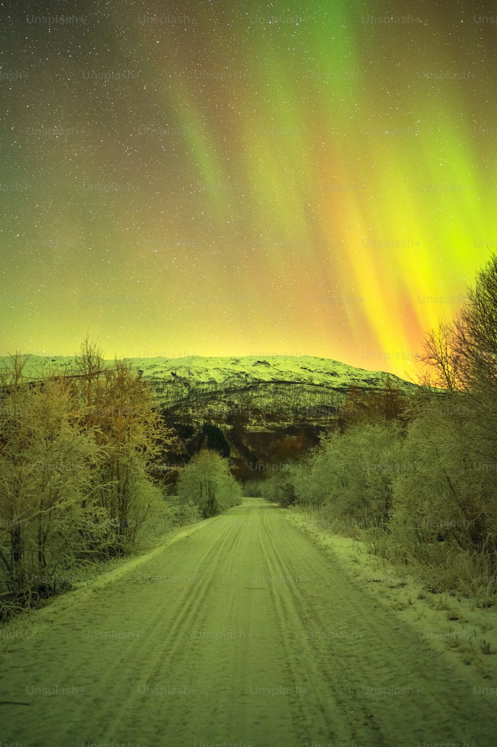 a green and yellow aurora over a dirt road