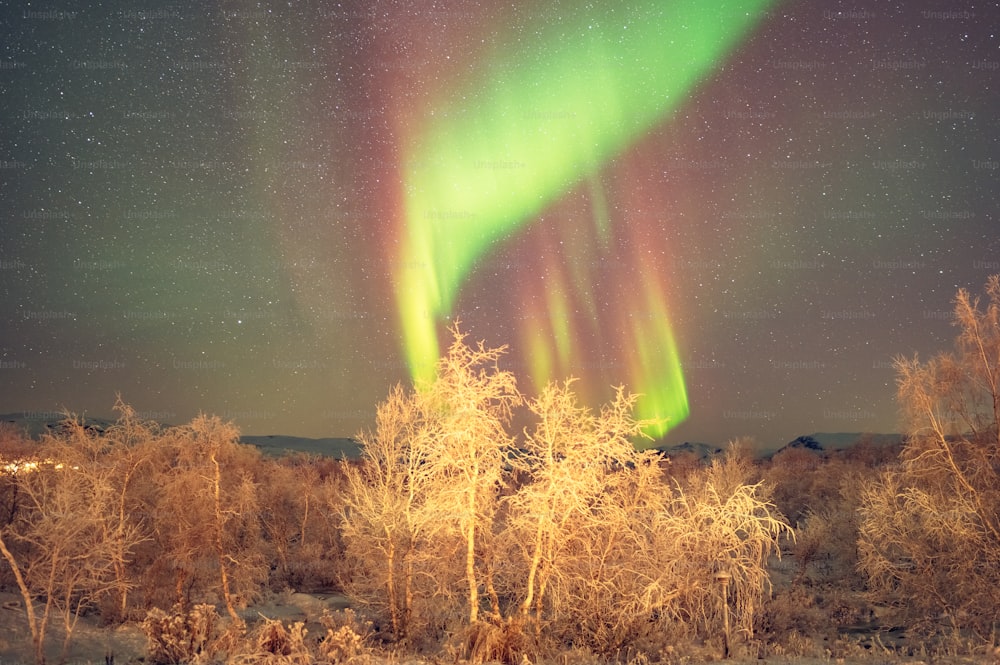 a green and red aurora bore is in the sky