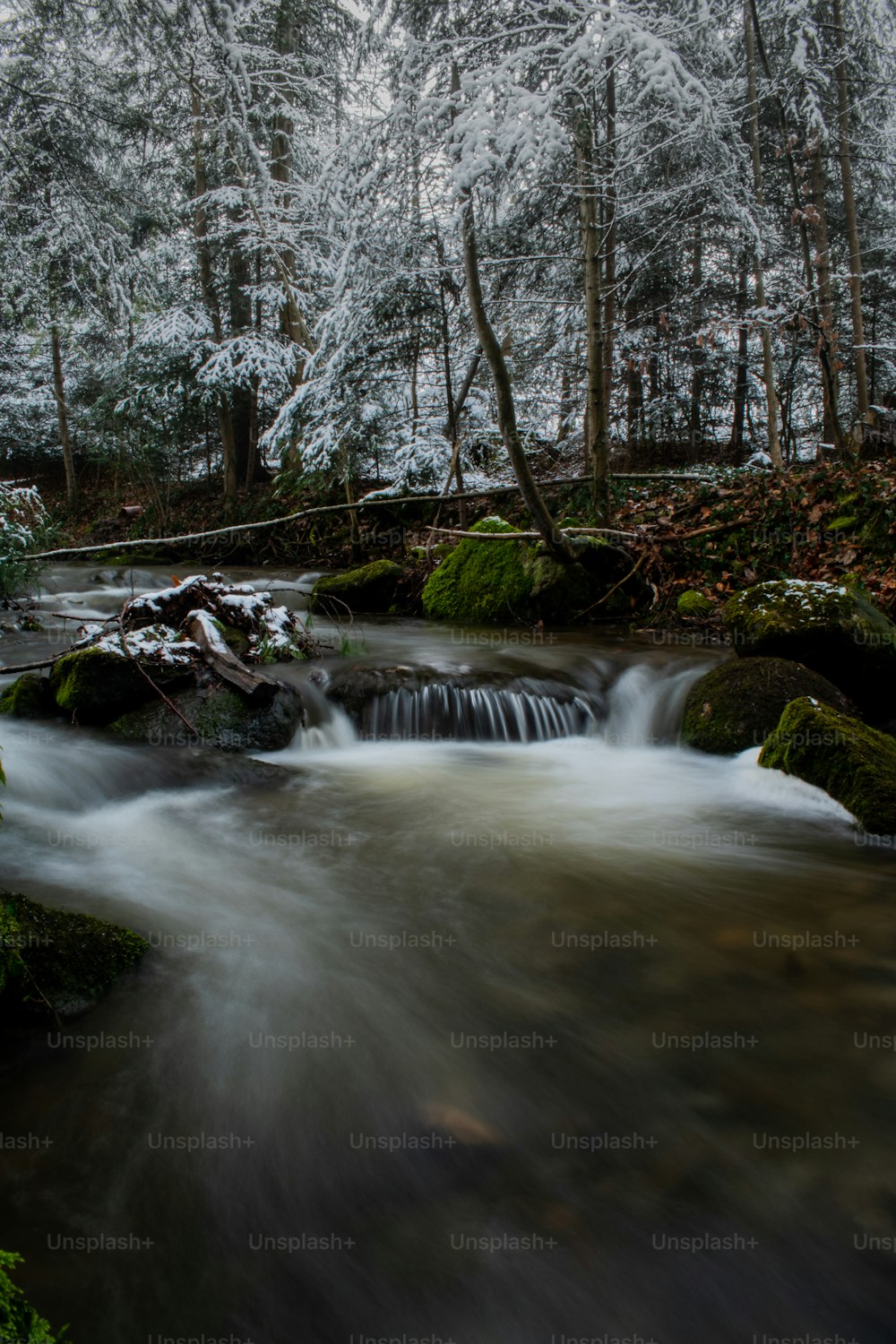 a stream running through a forest covered in snow