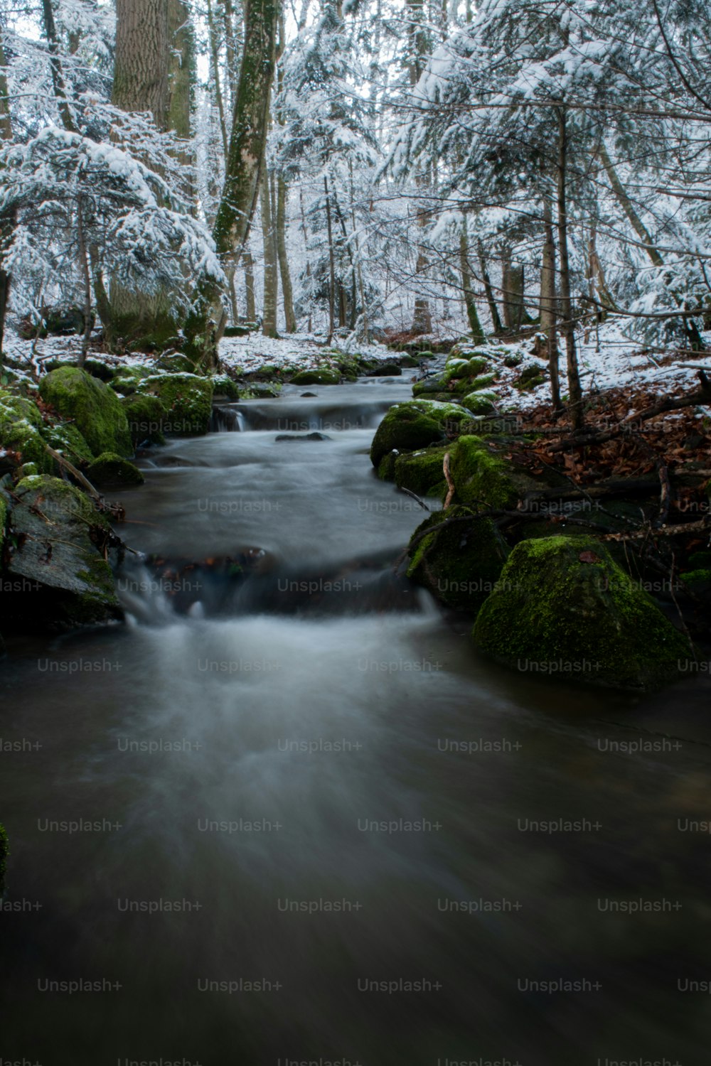 a stream running through a snow covered forest