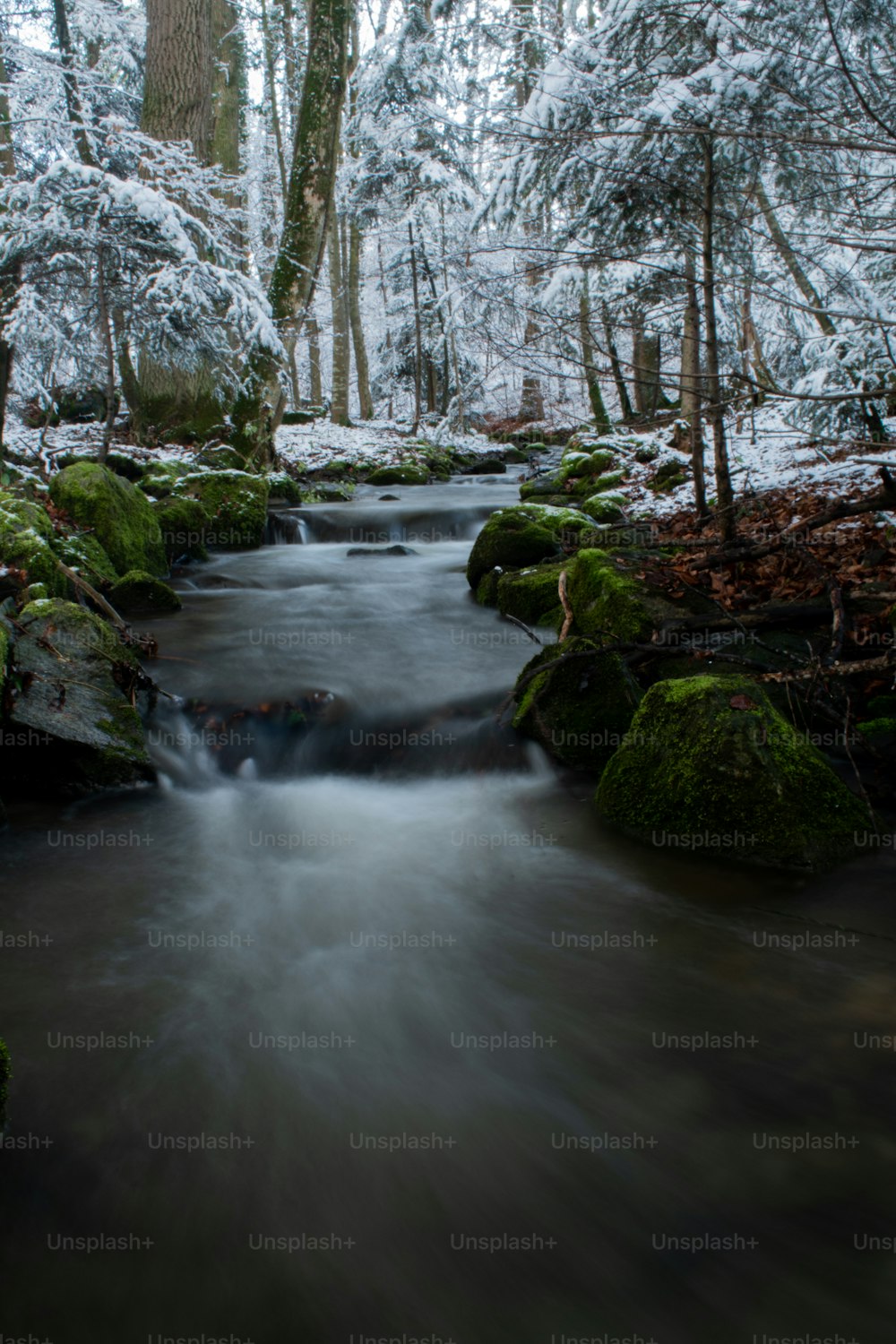 um riacho que atravessa uma floresta coberta de neve