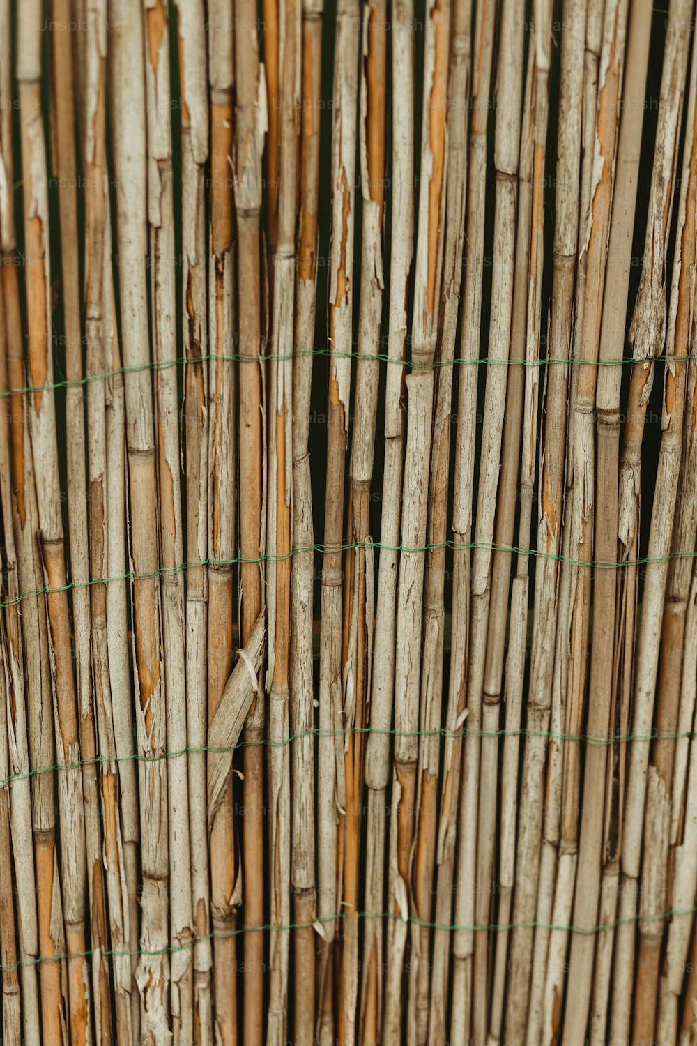 竹の棒の束のクローズアップ