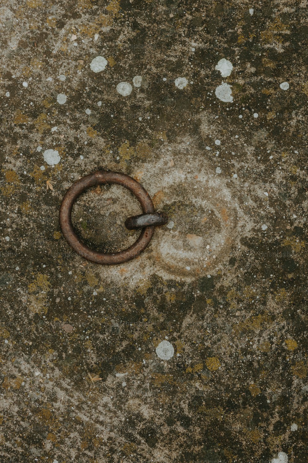 Un anillo de metal oxidado sentado encima de un piso de cemento