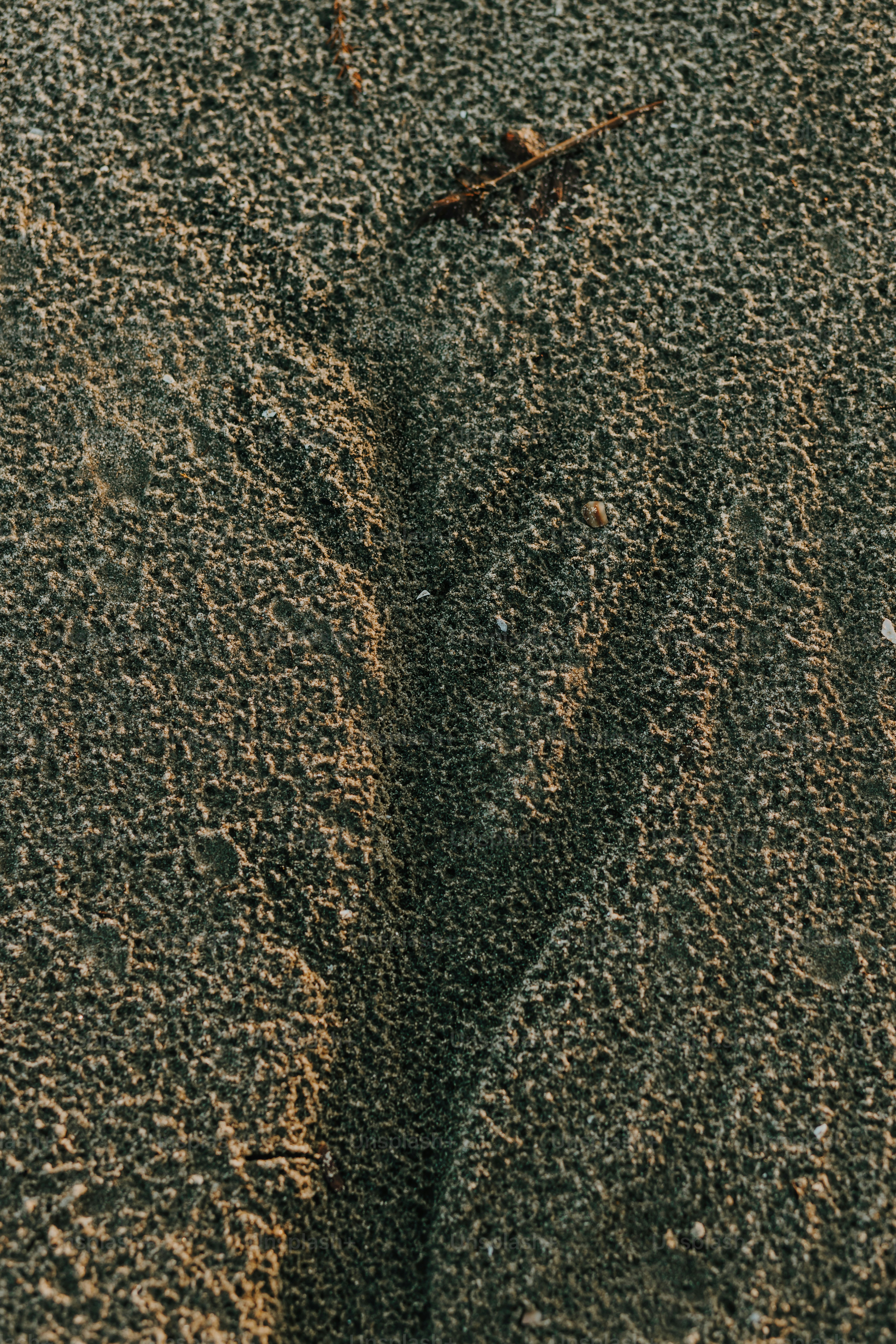 a close up of a sand dune with a bird in the distance