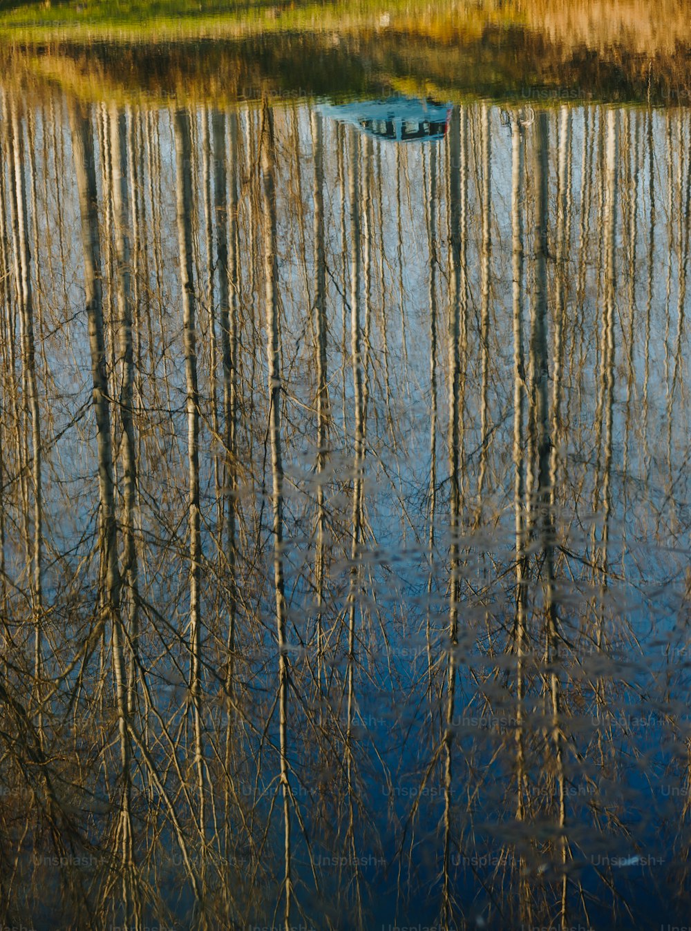 a row of trees reflected in the water