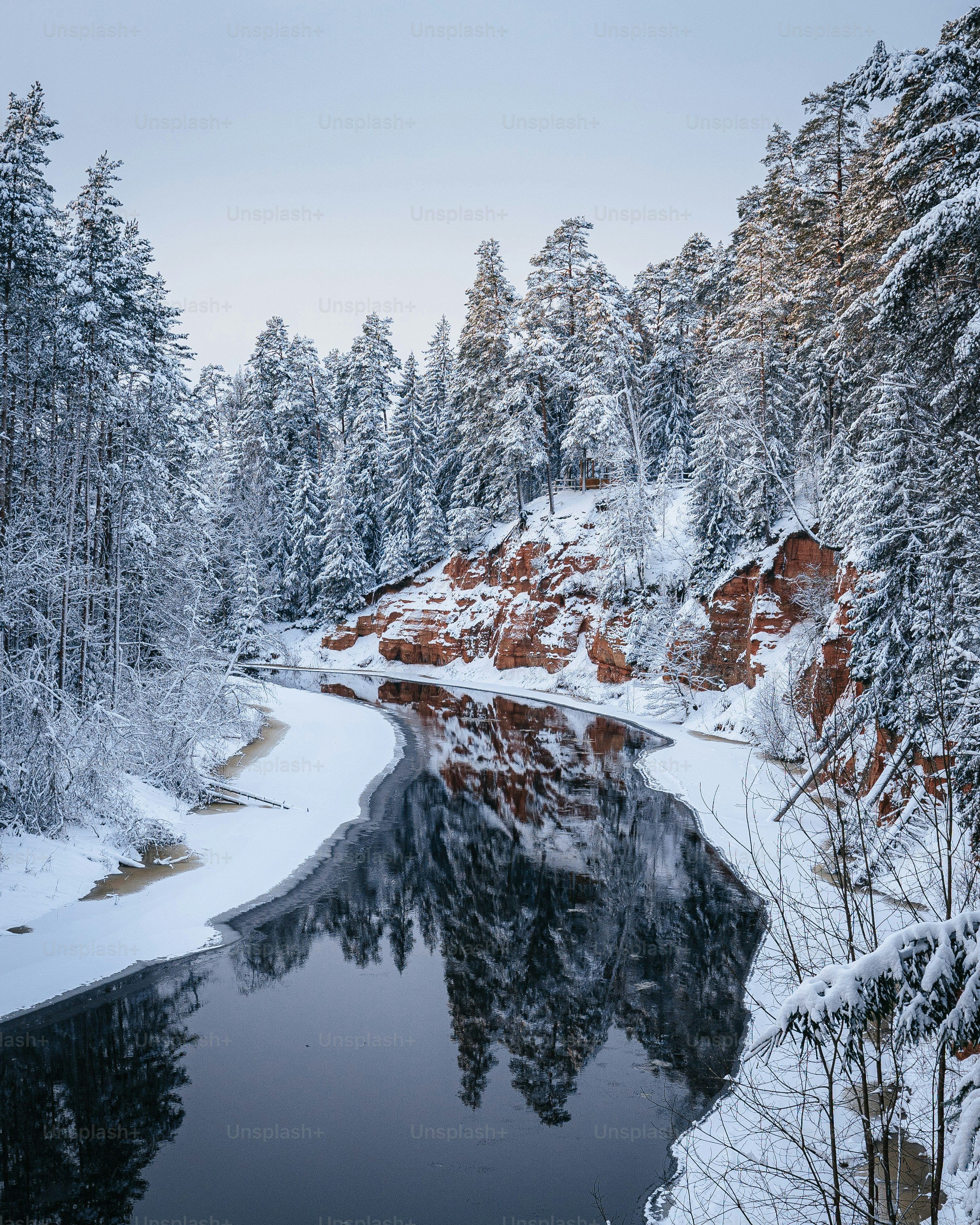 雪に覆われた木々に囲まれた湖