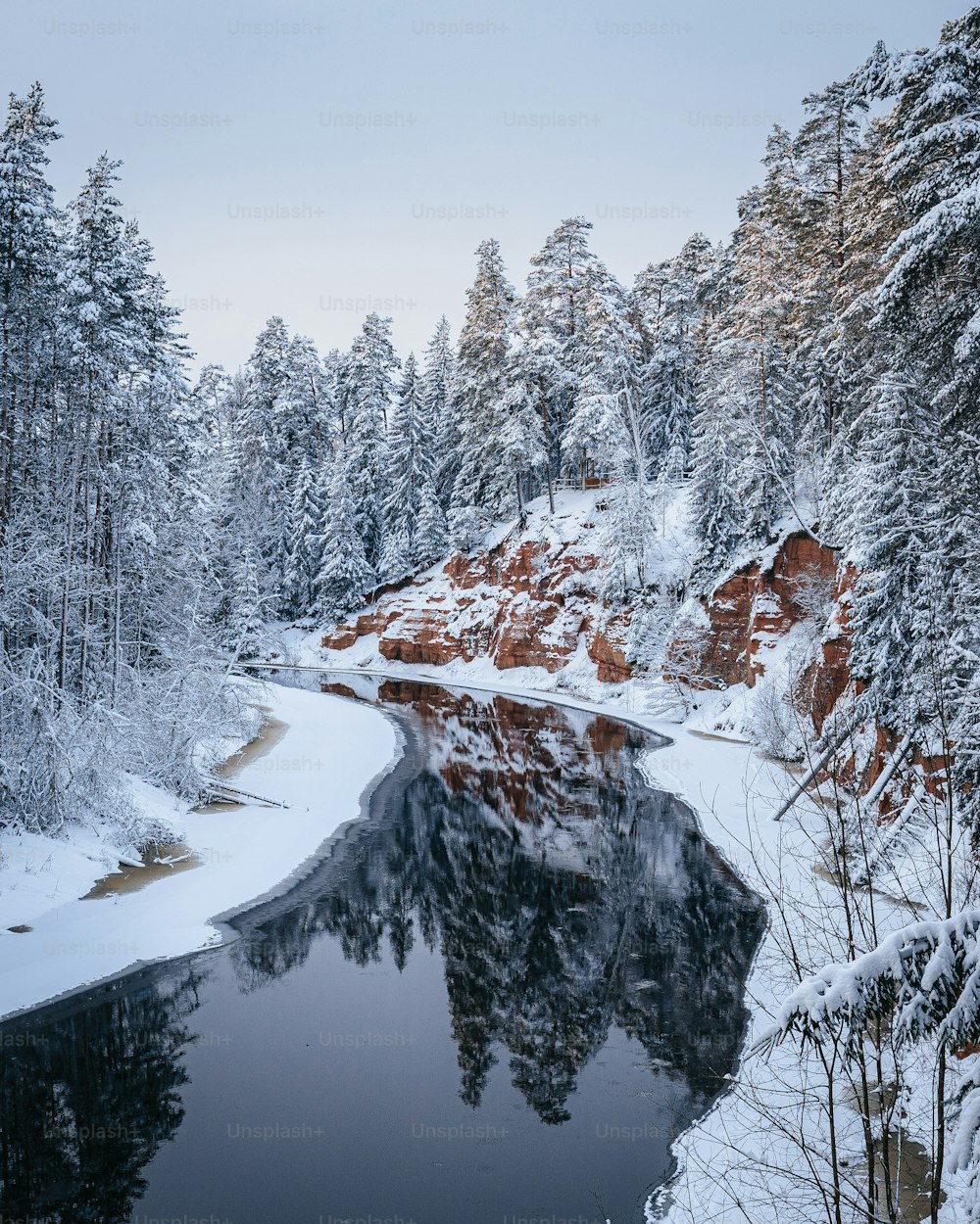 Ein See, umgeben von schneebedeckten Bäumen