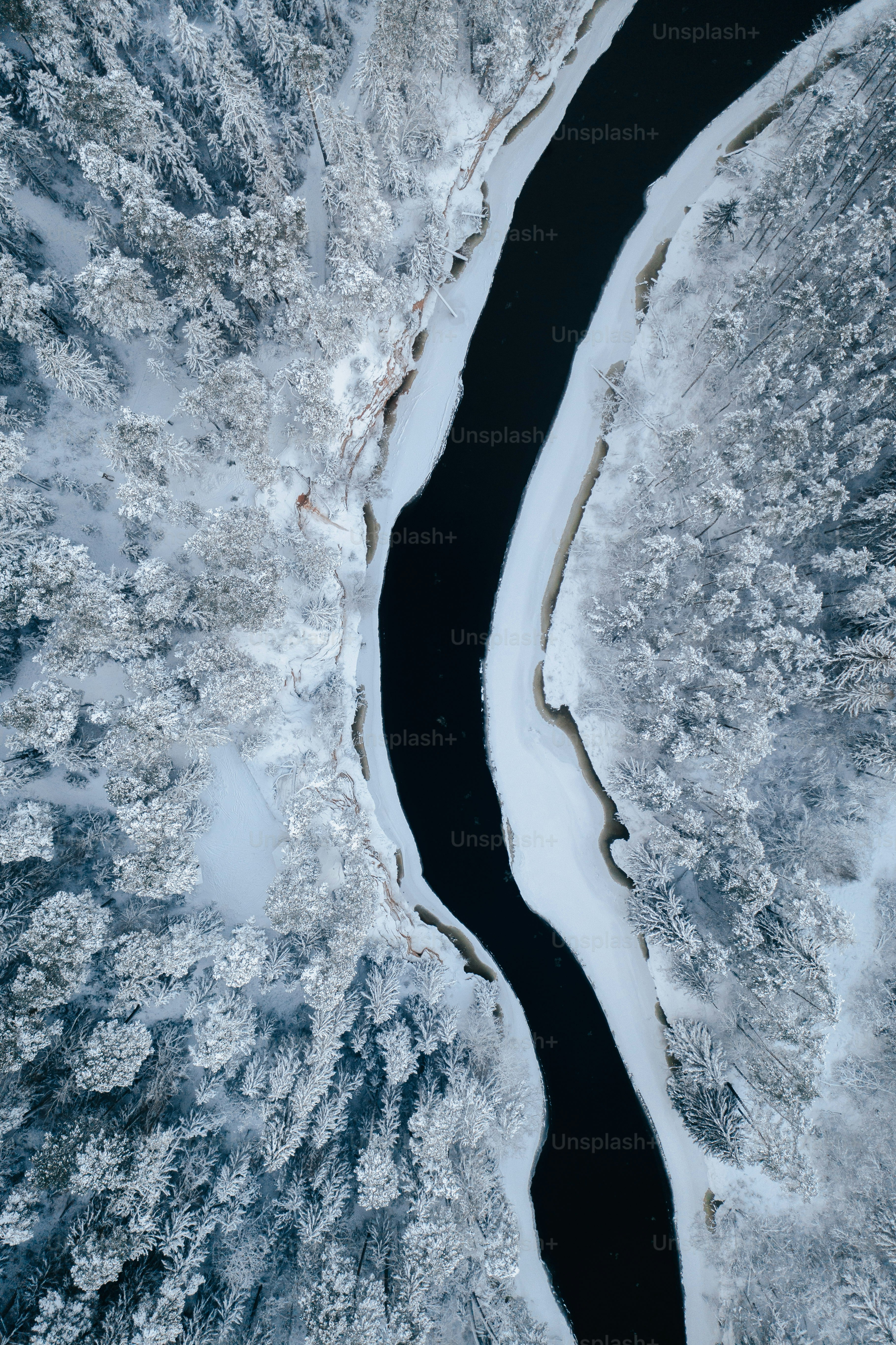 雪景色の中を流れる川