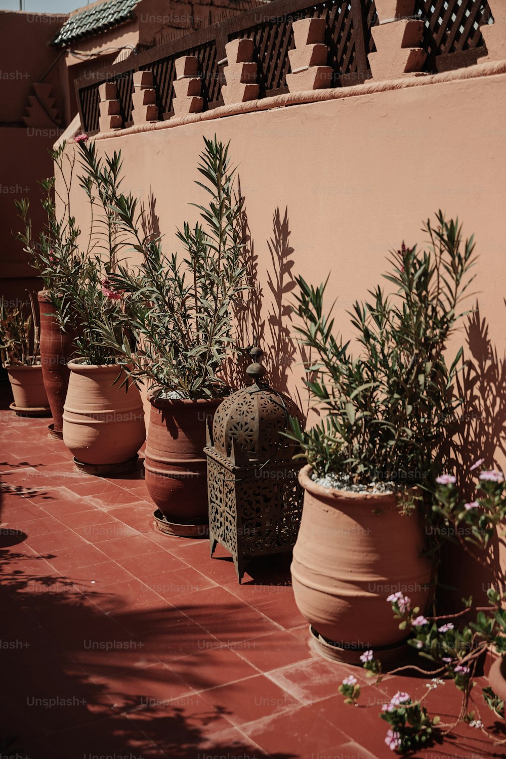 uma fileira de vasos de plantas na frente de uma parede
