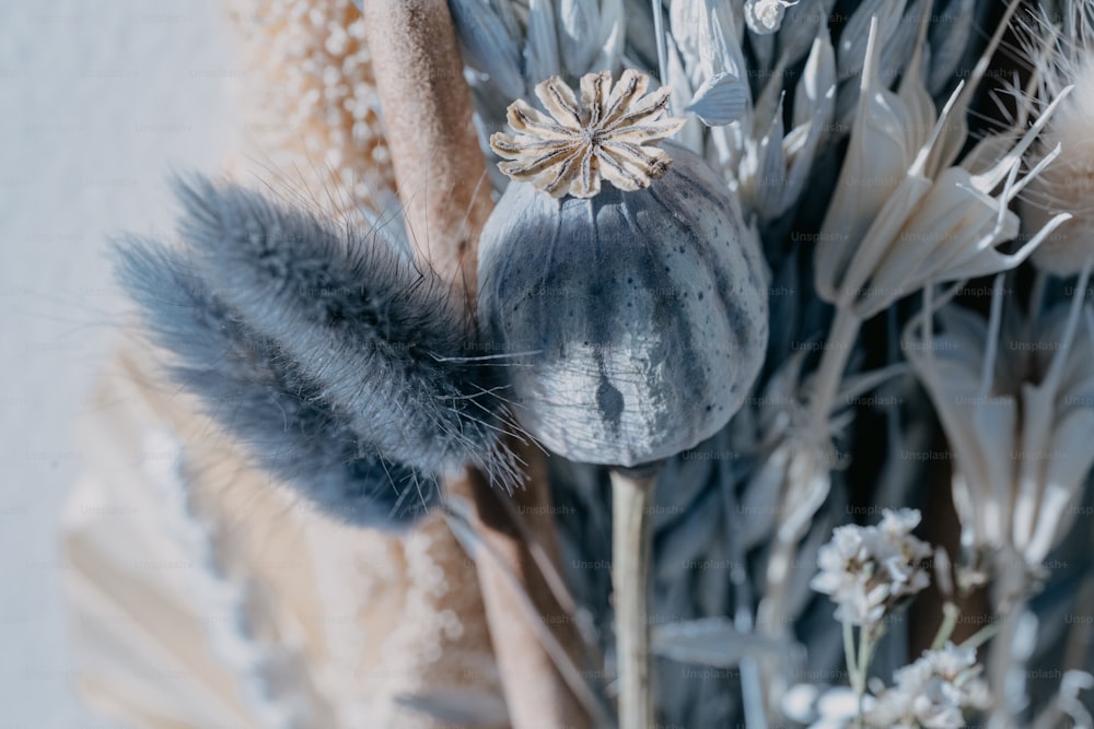 a close up of a bunch of flowers on a table