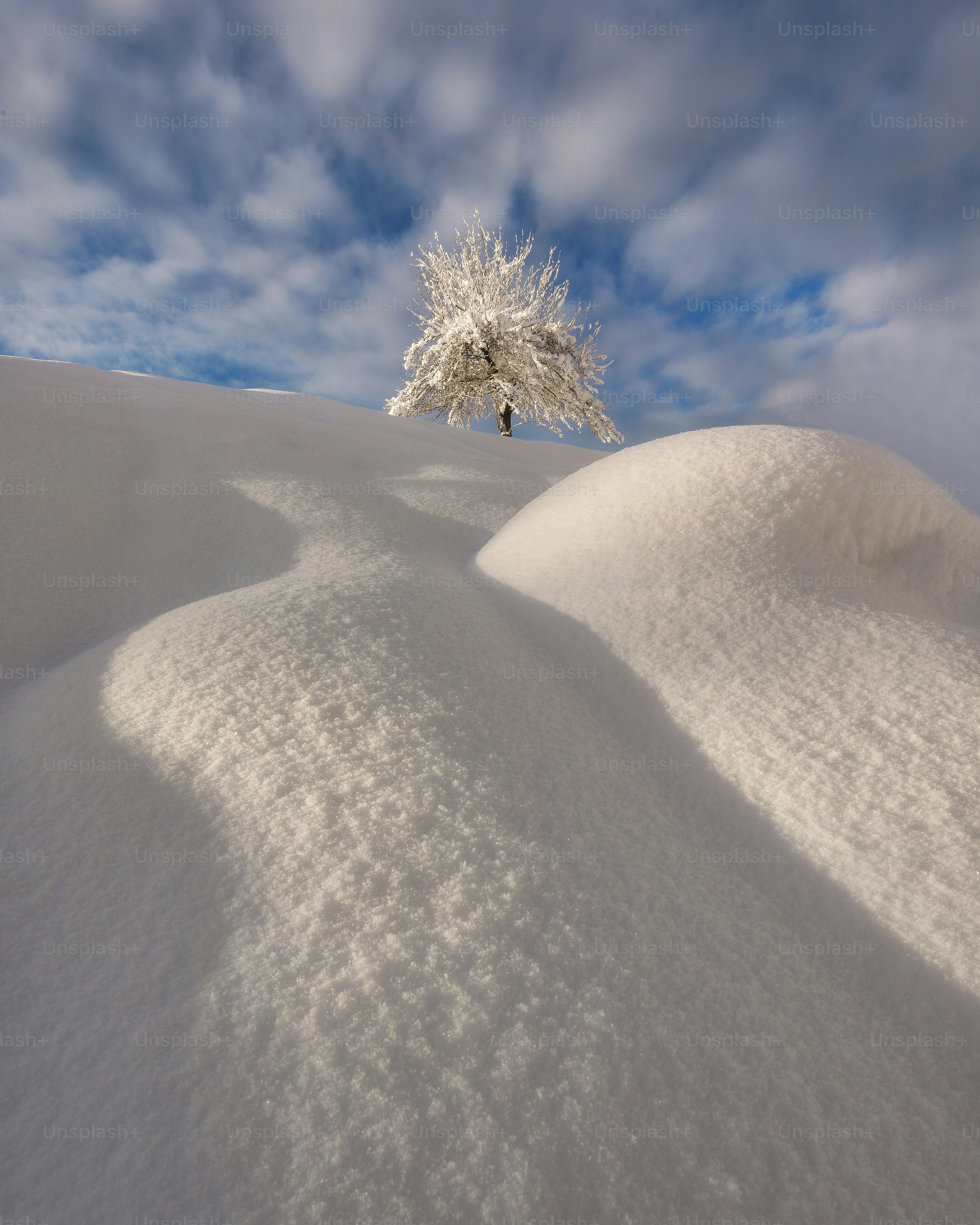 a lone tree in the middle of a snow covered field