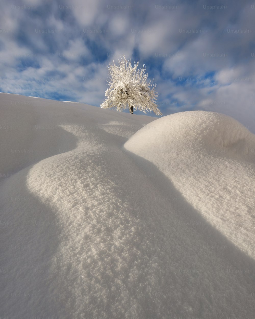 a lone tree in the middle of a snow covered field