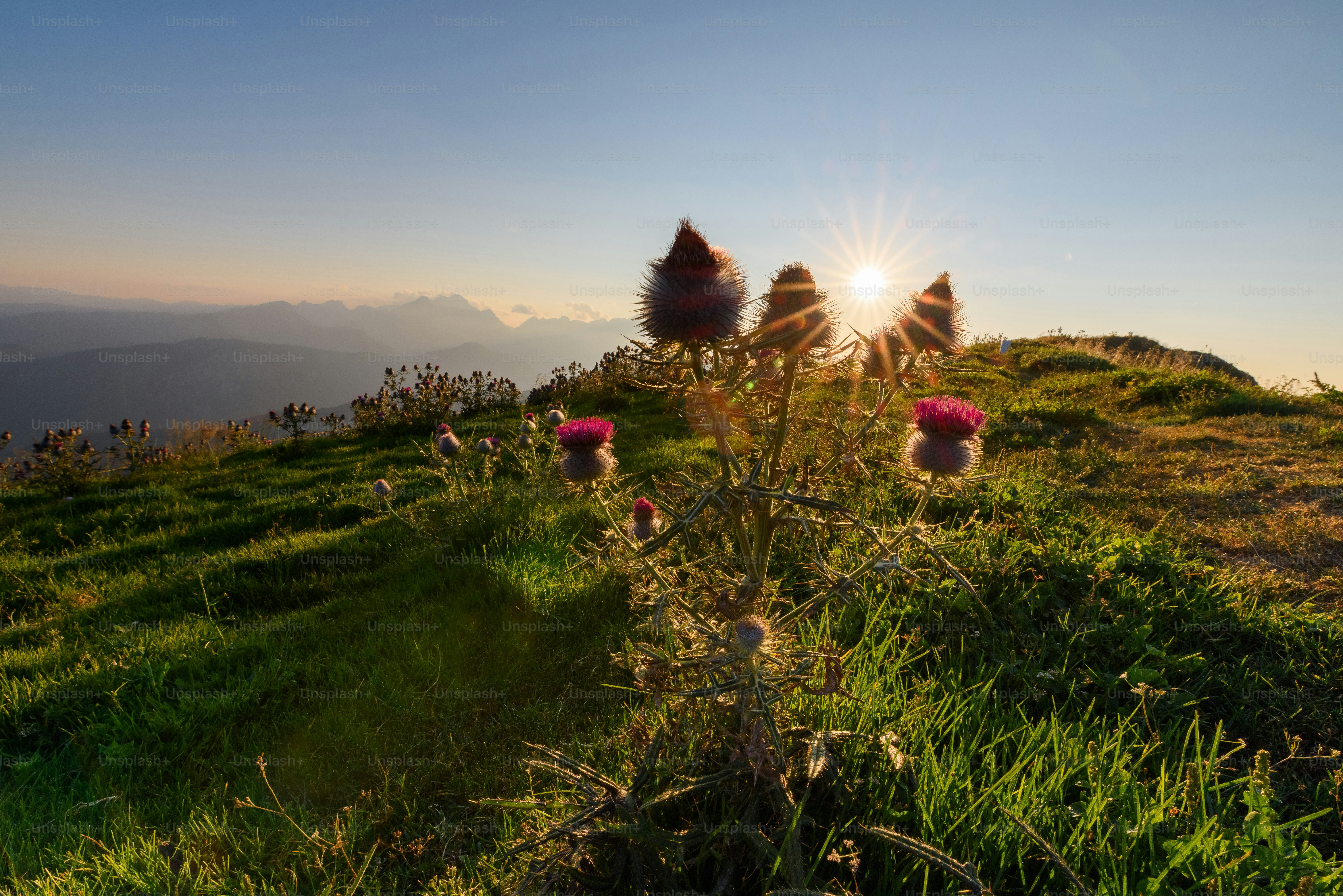 the sun is setting over a grassy hill