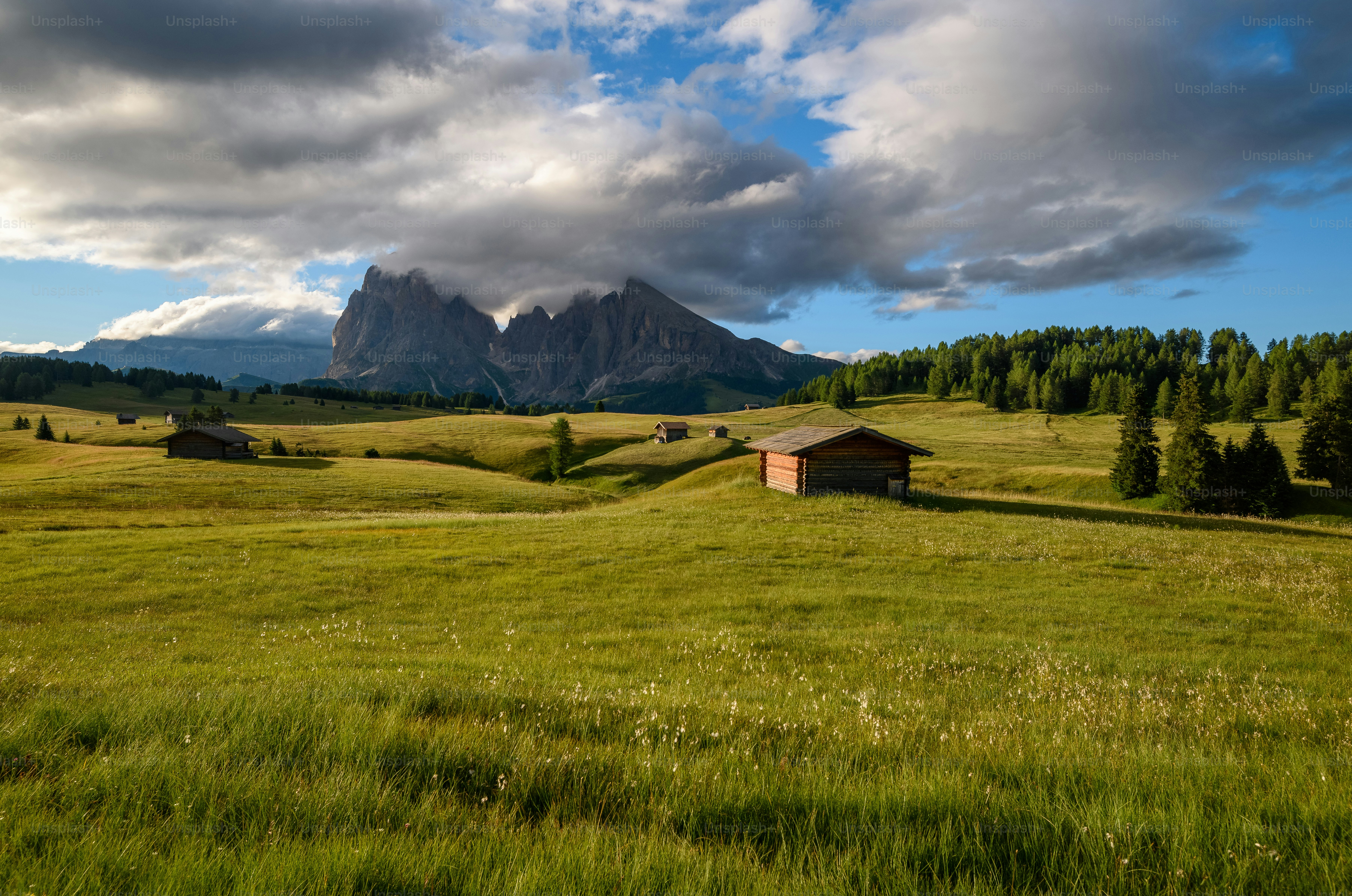 a grassy field with a barn and mountains in the background