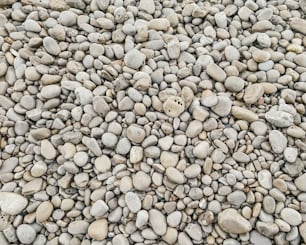 a bunch of rocks that are laying on the ground