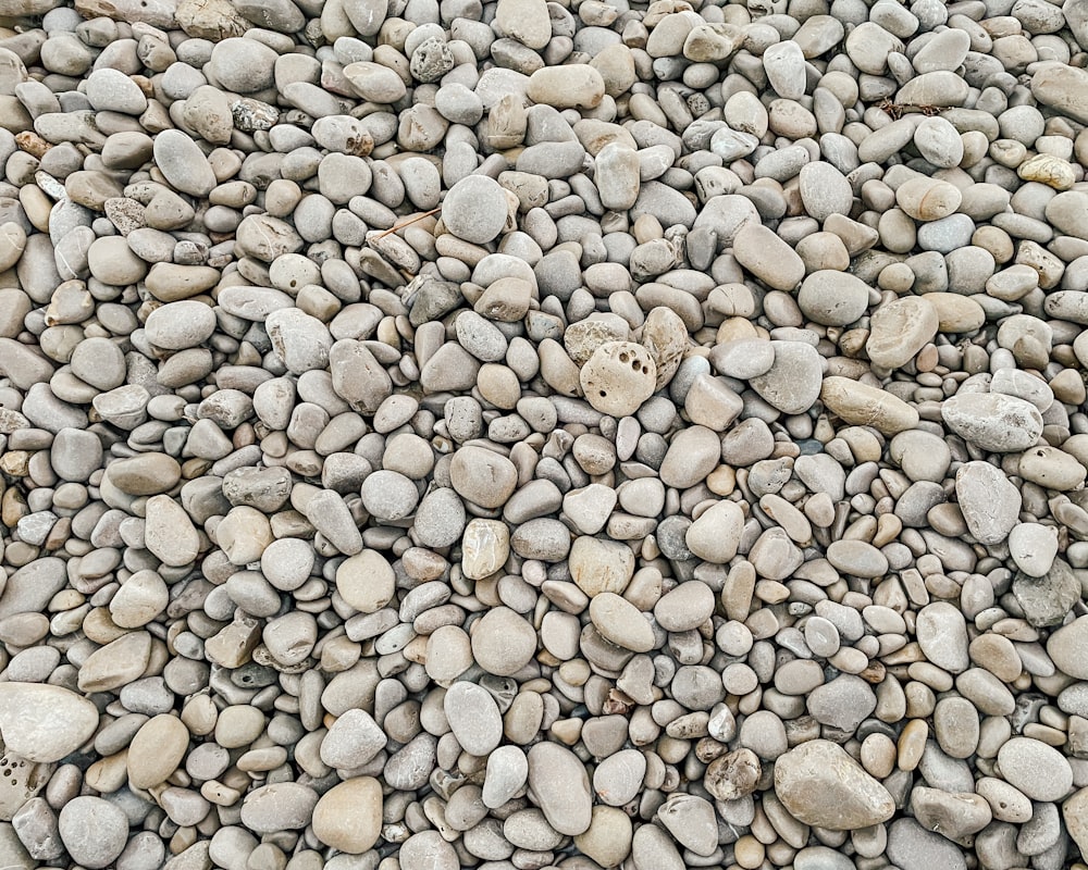 a bunch of rocks that are laying on the ground