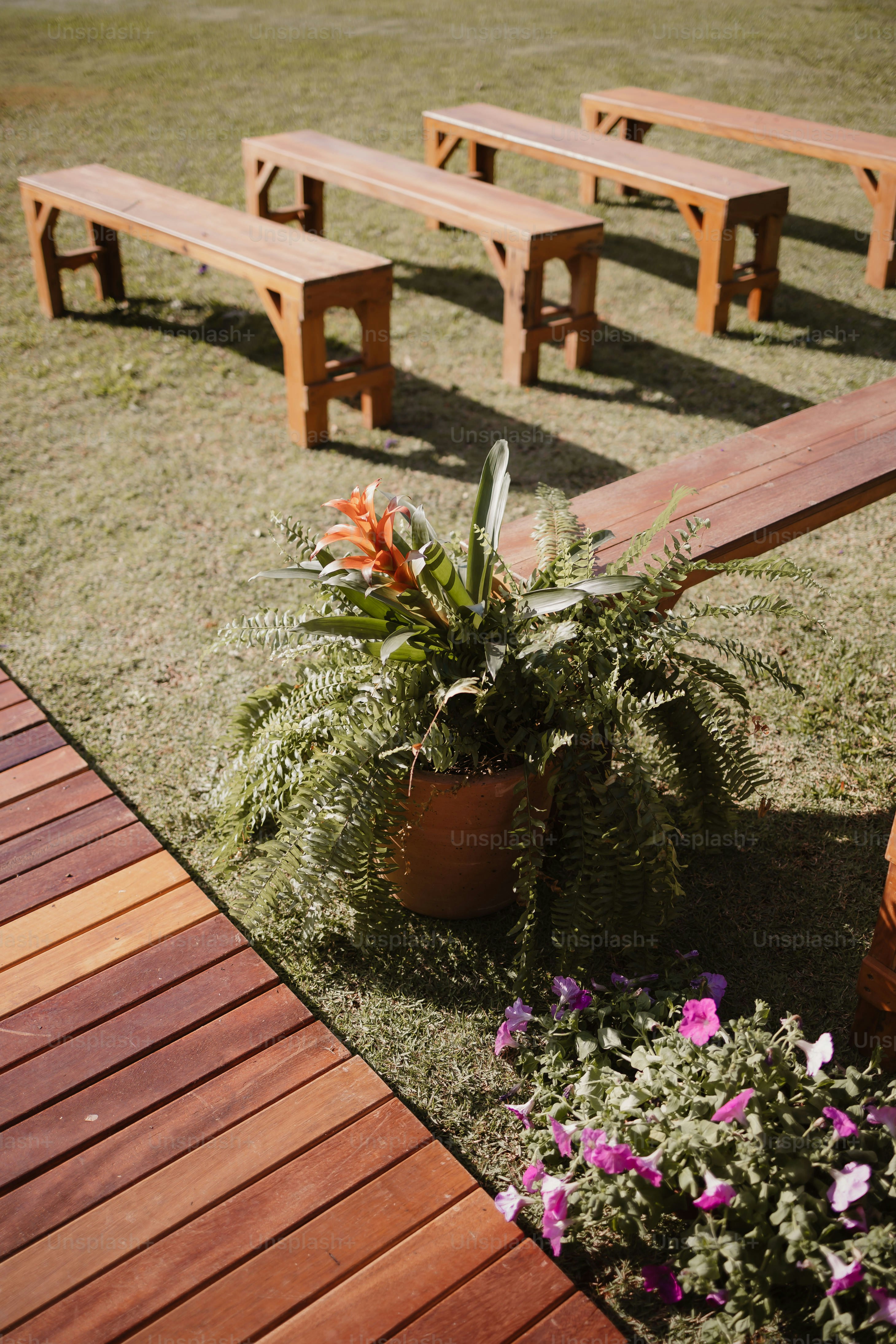 a row of wooden benches sitting on top of a grass covered field