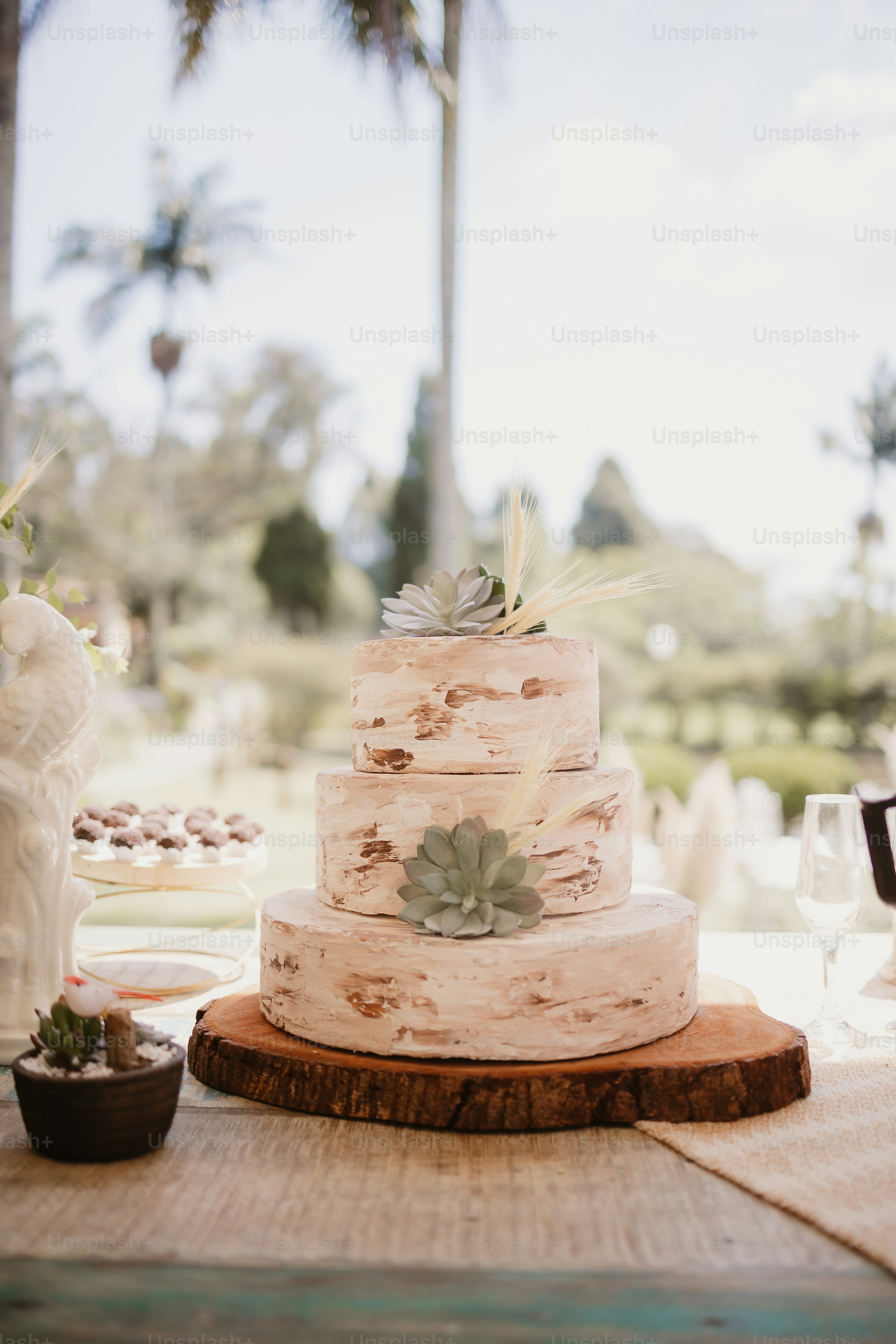 a wedding cake with succulents on a table