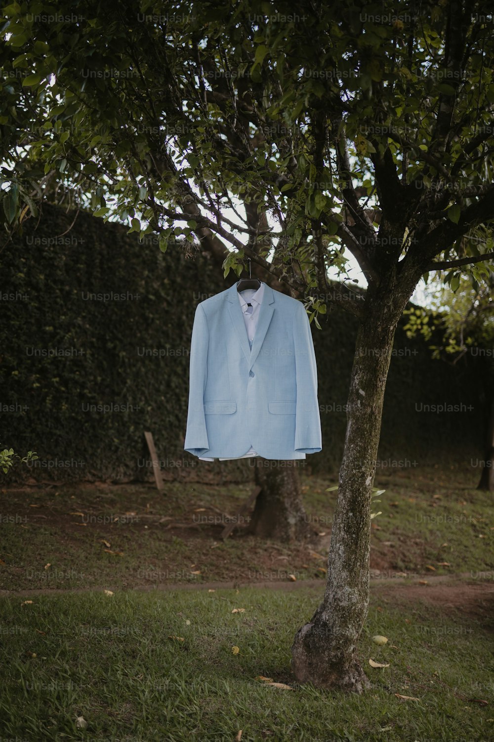a blue suit hanging from a tree in a yard