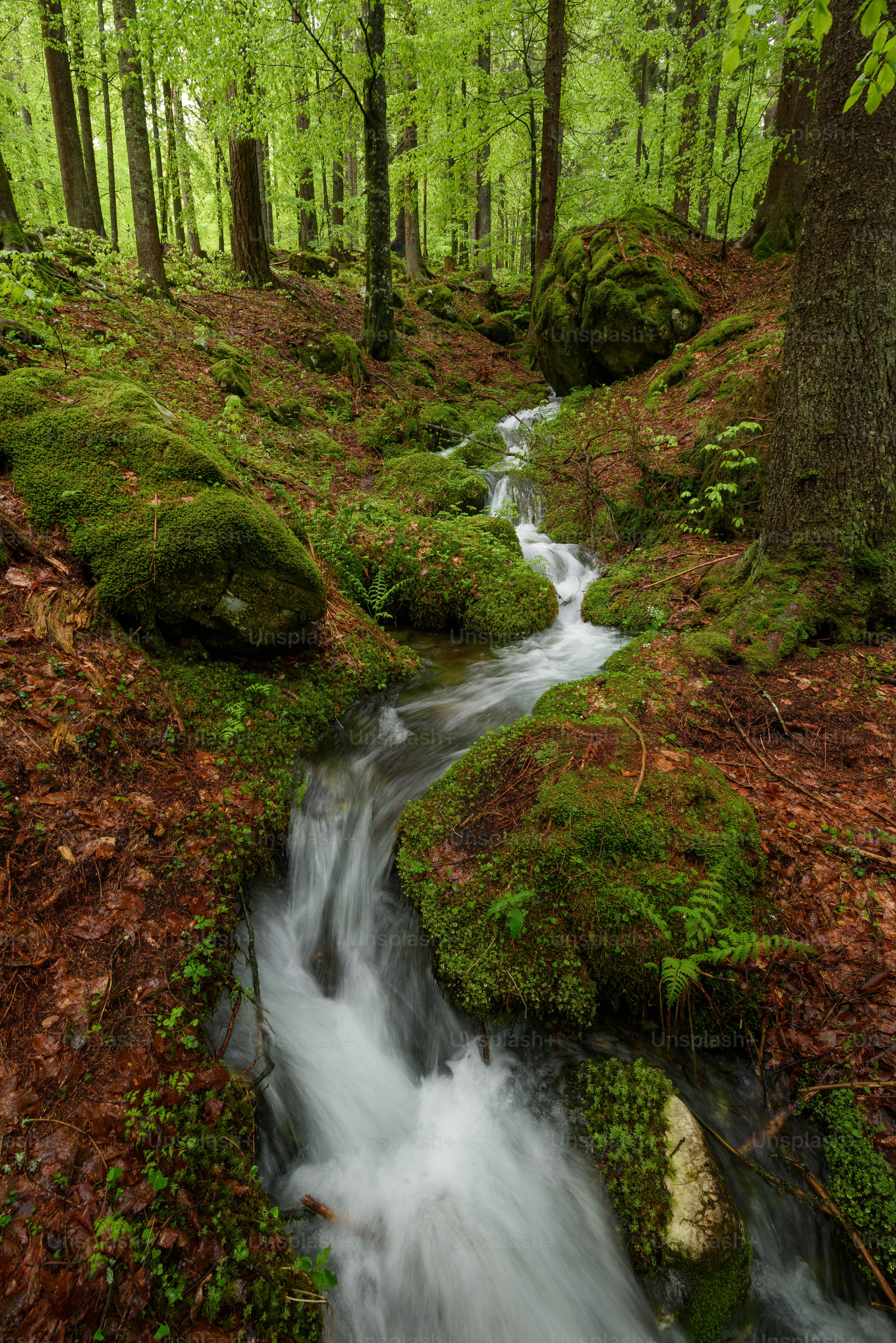 View from clear creeks 澄んだ小川の景色 View from clear creeks 澄んだ小川の景色