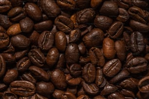 焙煎したコーヒー豆の山