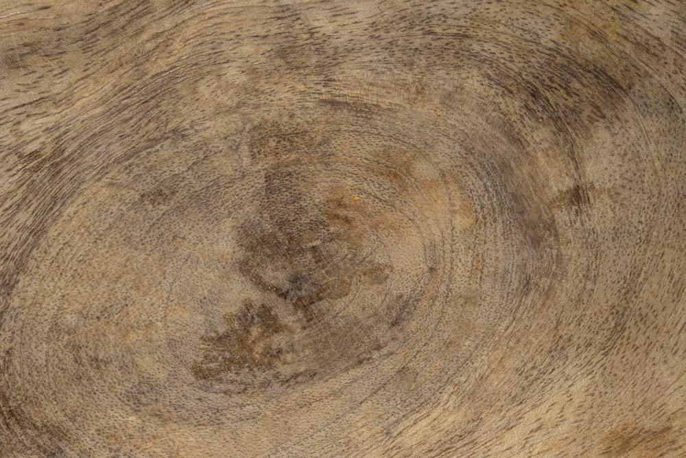um close up de uma superfície de grão de madeira