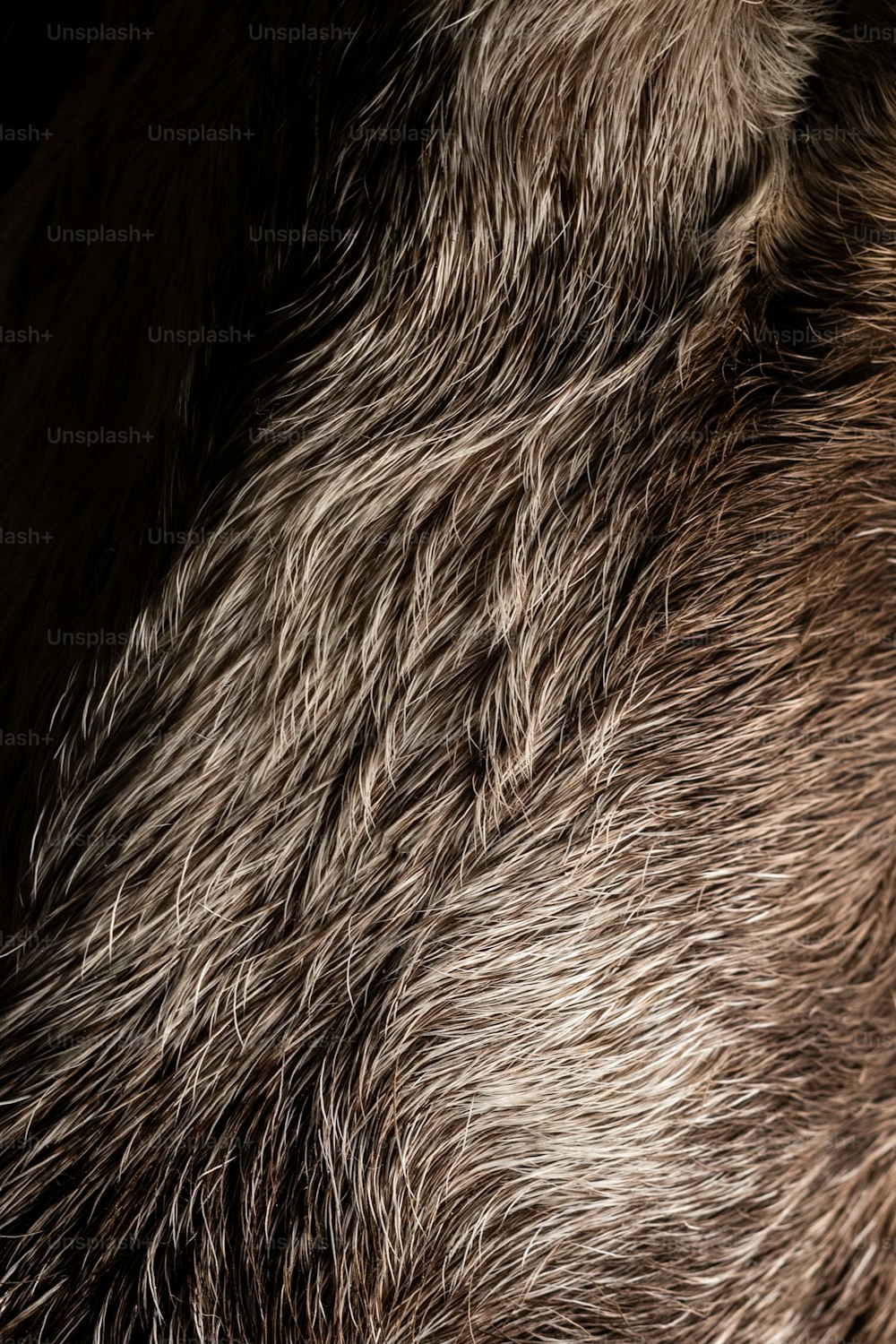 um close up da pele de um animal peludo