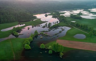 an aerial view of a lake surrounded by trees