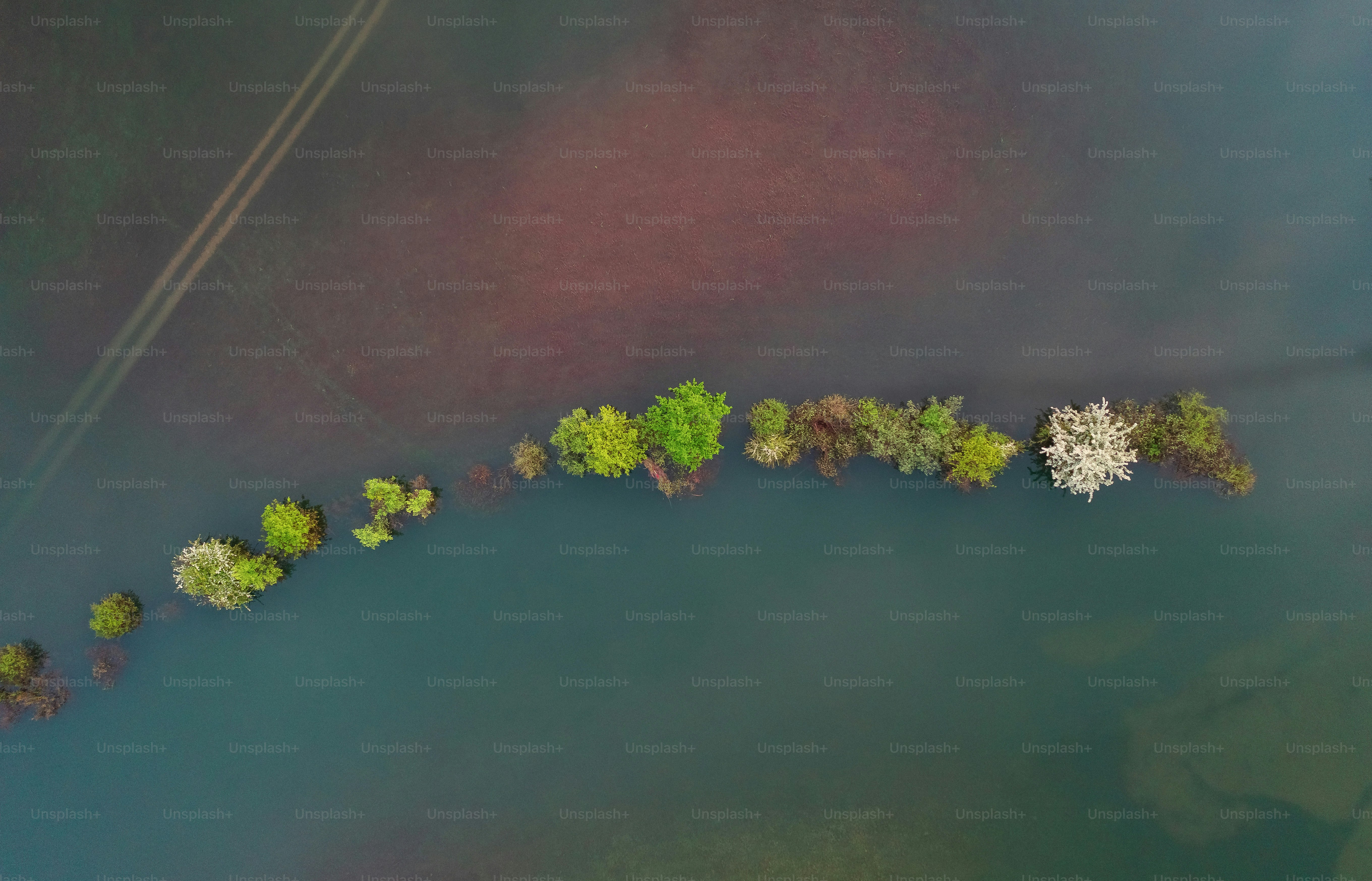 an aerial view of a body of water surrounded by trees