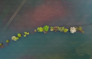 an aerial view of a body of water surrounded by trees