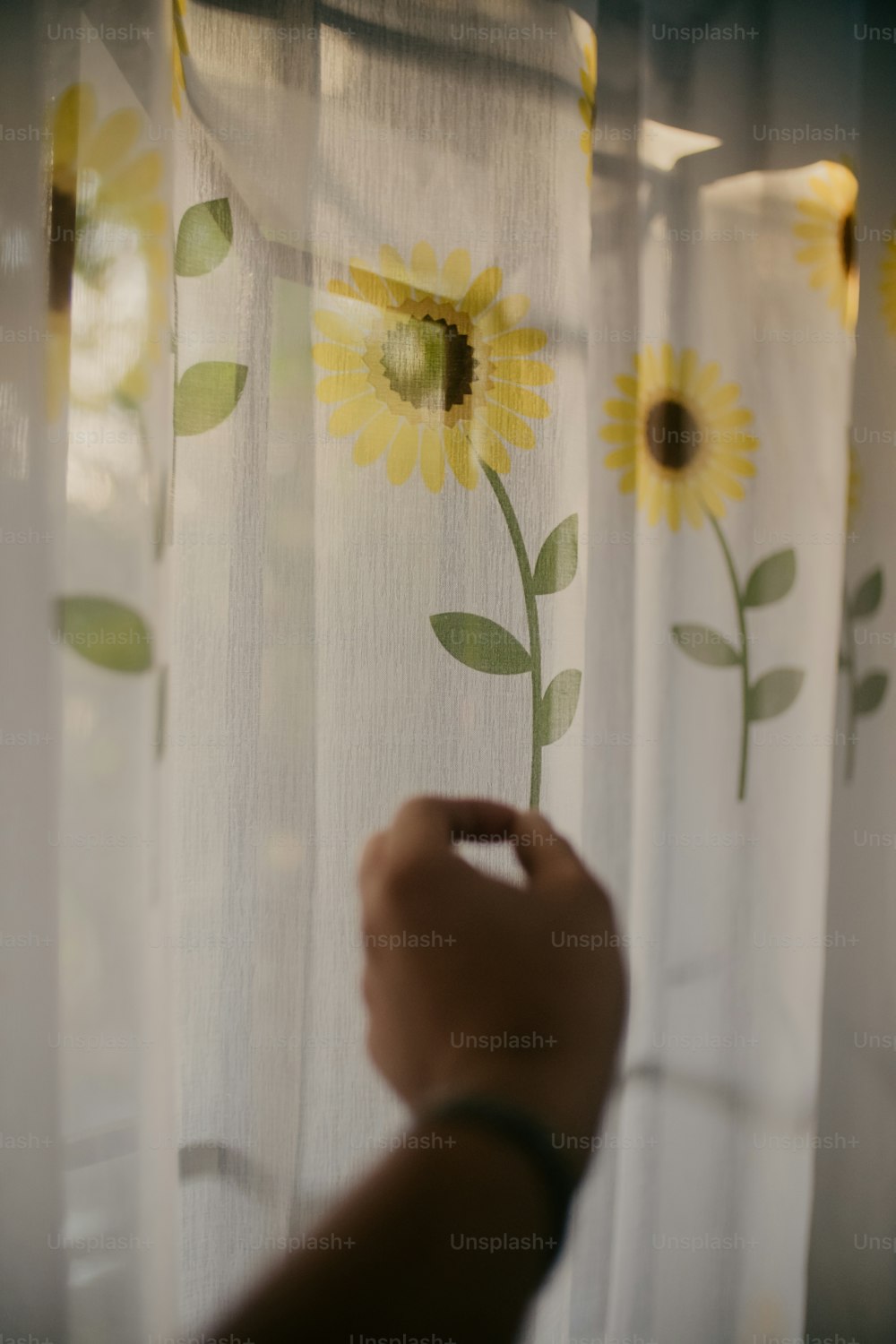 eine Hand, die einen Vorhang mit darauf gemalten Sonnenblumen hält