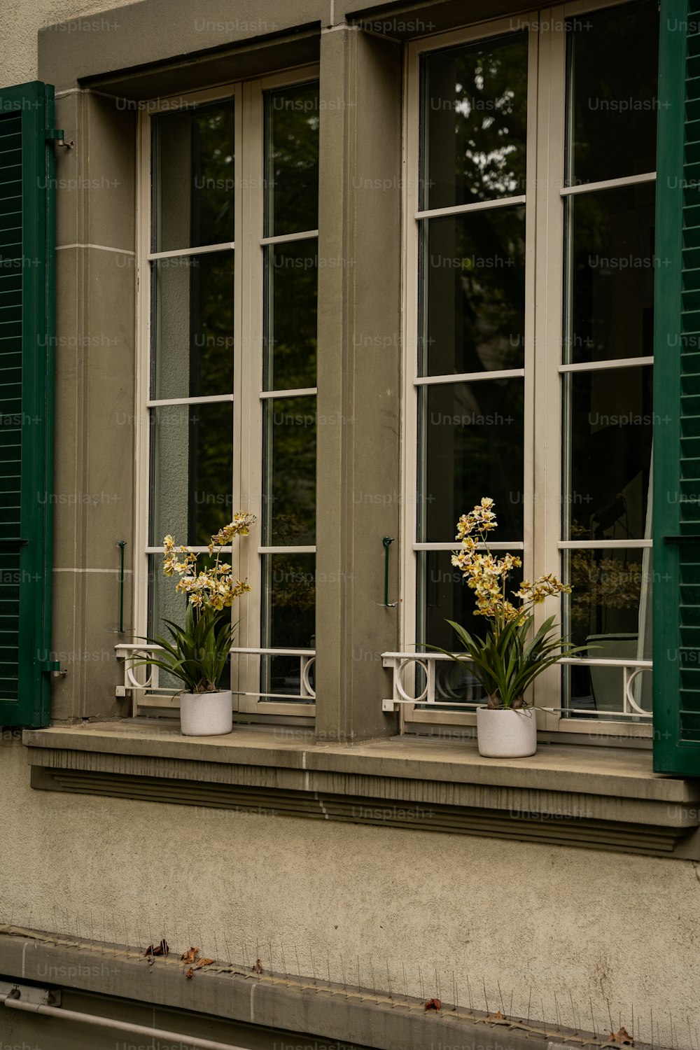 un paio di finestre con persiane verdi su ciascuna di esse