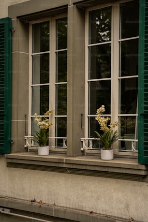 a couple of windows with green shutters on each of them