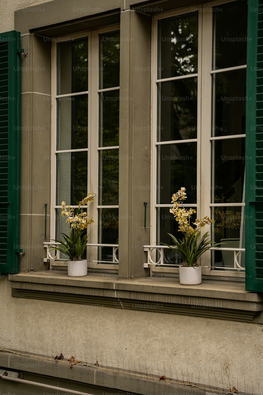 a couple of windows with green shutters on each of them