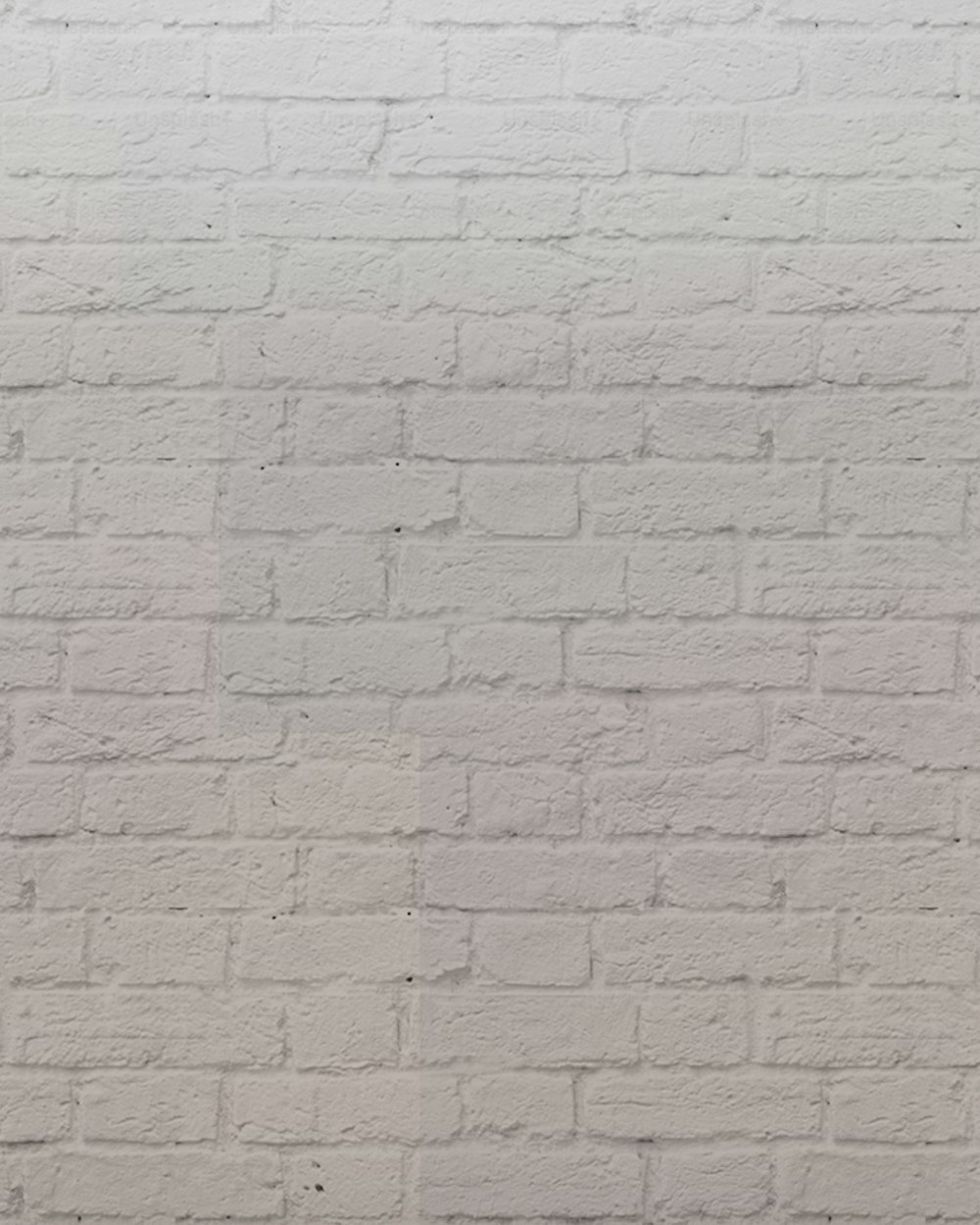 una pared de ladrillo blanco con un gato negro sentado encima