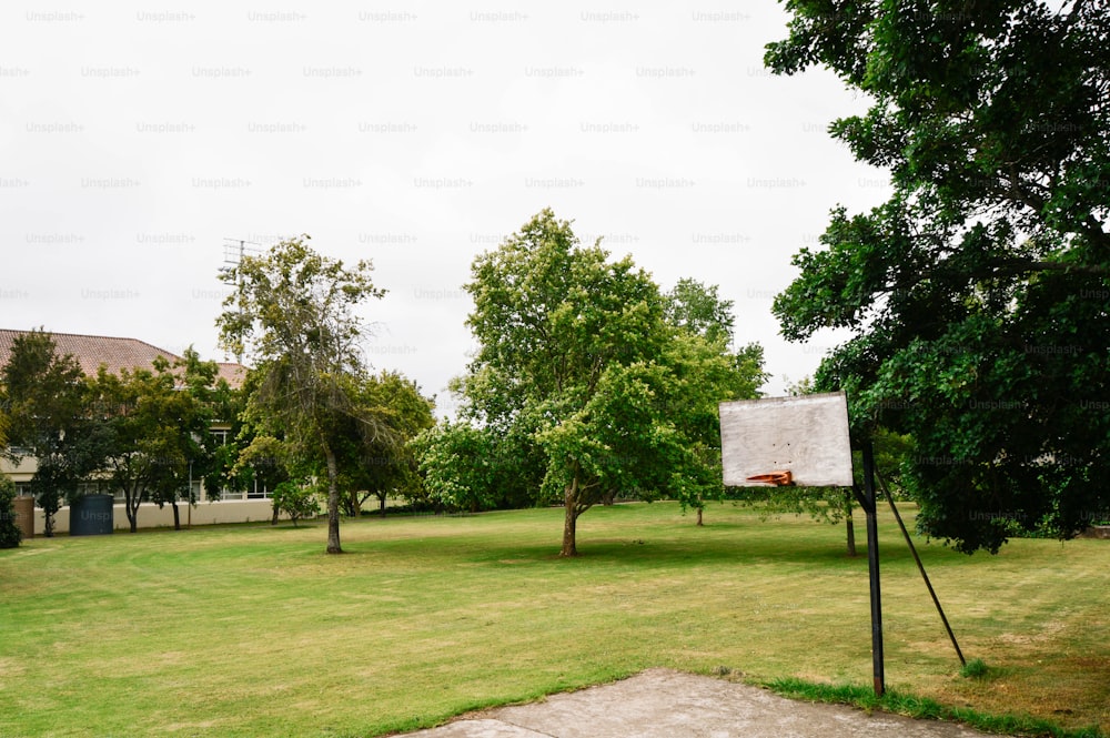a basketball court in a park with trees
